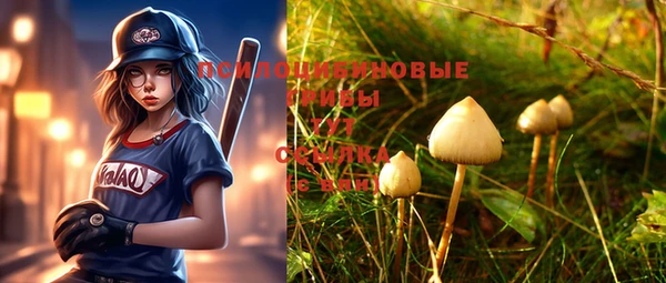 ГАЛЛЮЦИНОГЕННЫЕ ГРИБЫ Абинск