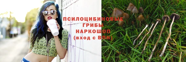 ГАЛЛЮЦИНОГЕННЫЕ ГРИБЫ Абинск