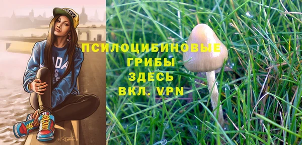 МДПВ Абаза