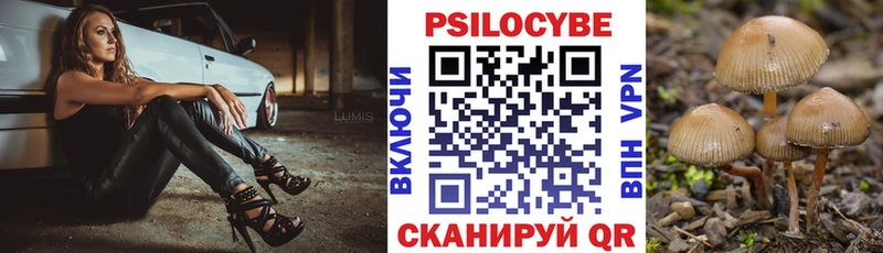 магазин Куртамыш Галлюциногенные грибы Psilocybe